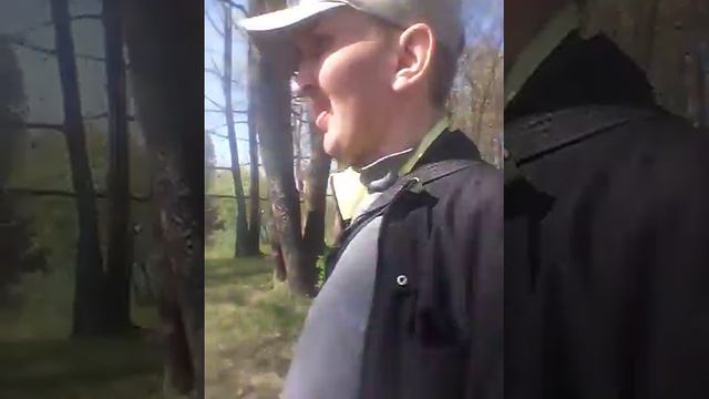 гатчина в видео тамара смотреть онлайн