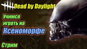 Dead by Daylighte. Чужой. Учимся играть на ксеноморфе. Стрим DbD #bulldezeer  #dbd #бульдозер