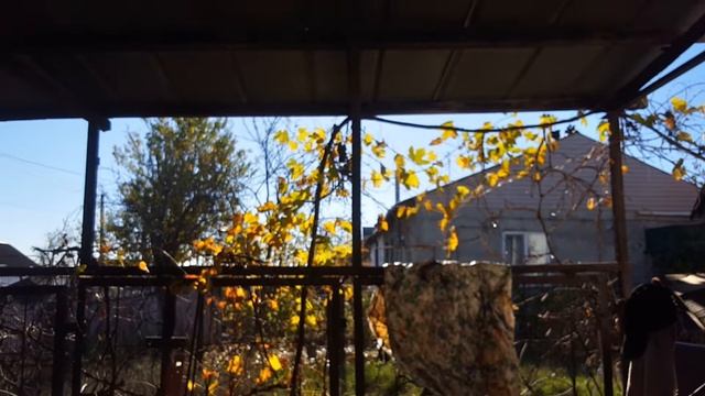 Полочка в гараж "за даром" ! смотреть онлайн