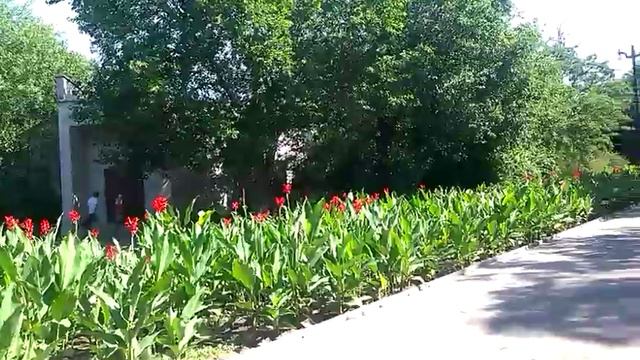 Нас это не касается .Притча . смотреть онлайн