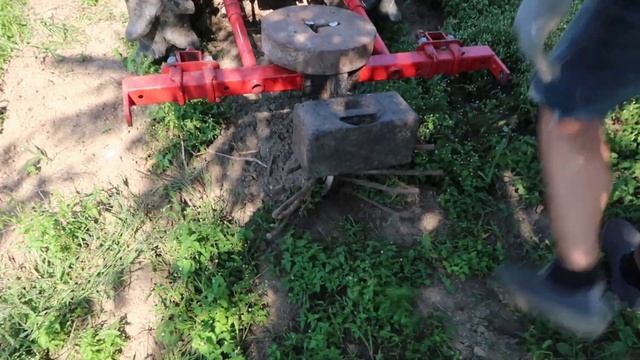 Урожай в неблагоприятный год. КАРТОФЕЛЬ. обзор СОРТОВ. смотреть онлайн