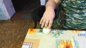 Суп с котом Деревенский Наваристый