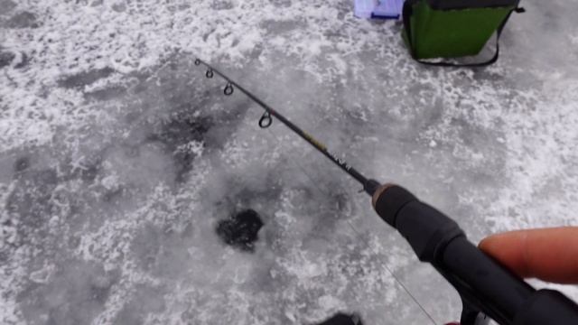 Ух и кабанов нашли! Зимняя рыбалка мечта! На аэролодке в поисках трофеев! смотреть онлайн
