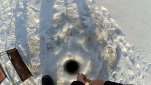 Крупный ротан на жерлицы-поставухи (зимняя рыбалка на ротана)