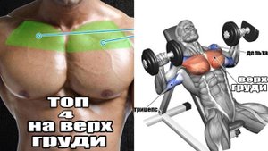 Тренировка груди и бицепса — это видео сделает вашу Грудь Бицепс гигантской.