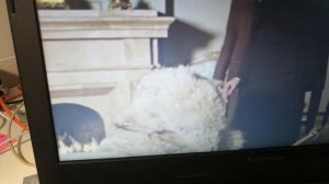 Киноляп в Фильме Шерлок Холмс. Собака Баскервилей 😁