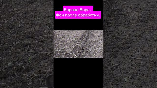 Борона Борс. Фон после обработки. #tillage