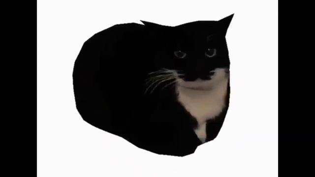 Максвелл кот
