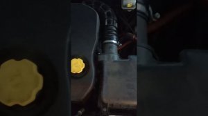 Мягкий очиститель двигателя часть 2. Работает или нет.