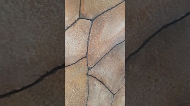 прихожка из не чего, под камень  из раствора!