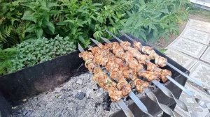 Куринный шашлык на даче.