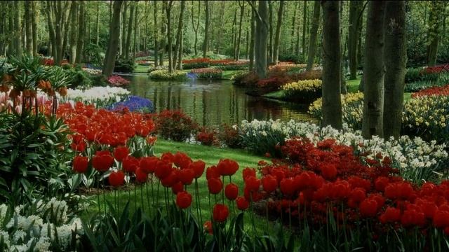 Вы уже знаете, как делать это. Джо Диспенза. Перевод статьи с официального сайта смотреть онлайн