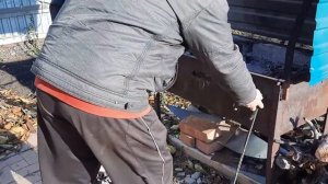 обработка теплицы от паутинного клеща, тли. дымовая шашка