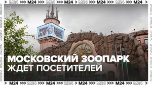 Московский зоопарк возобновил работу после непогоды - Москва 24
