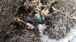 грязный парк Гагарина в Челябинске