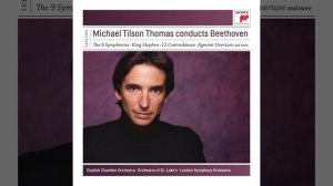 Symphony No. 9 in D Minor, Op. 125: IV. Presto -