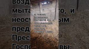 Заговор - молитва о защите скота