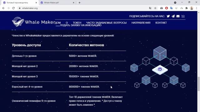 Whale Maker описание проекта смотреть онлайн