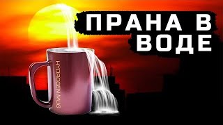 Как сделать эликсир молодости у вас дома
