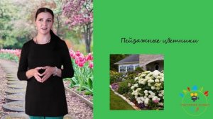 урок 4 Садовый дизайн. Виды цветников (цветники-островки, партеры, вазоны, палисадники, альпинарий)