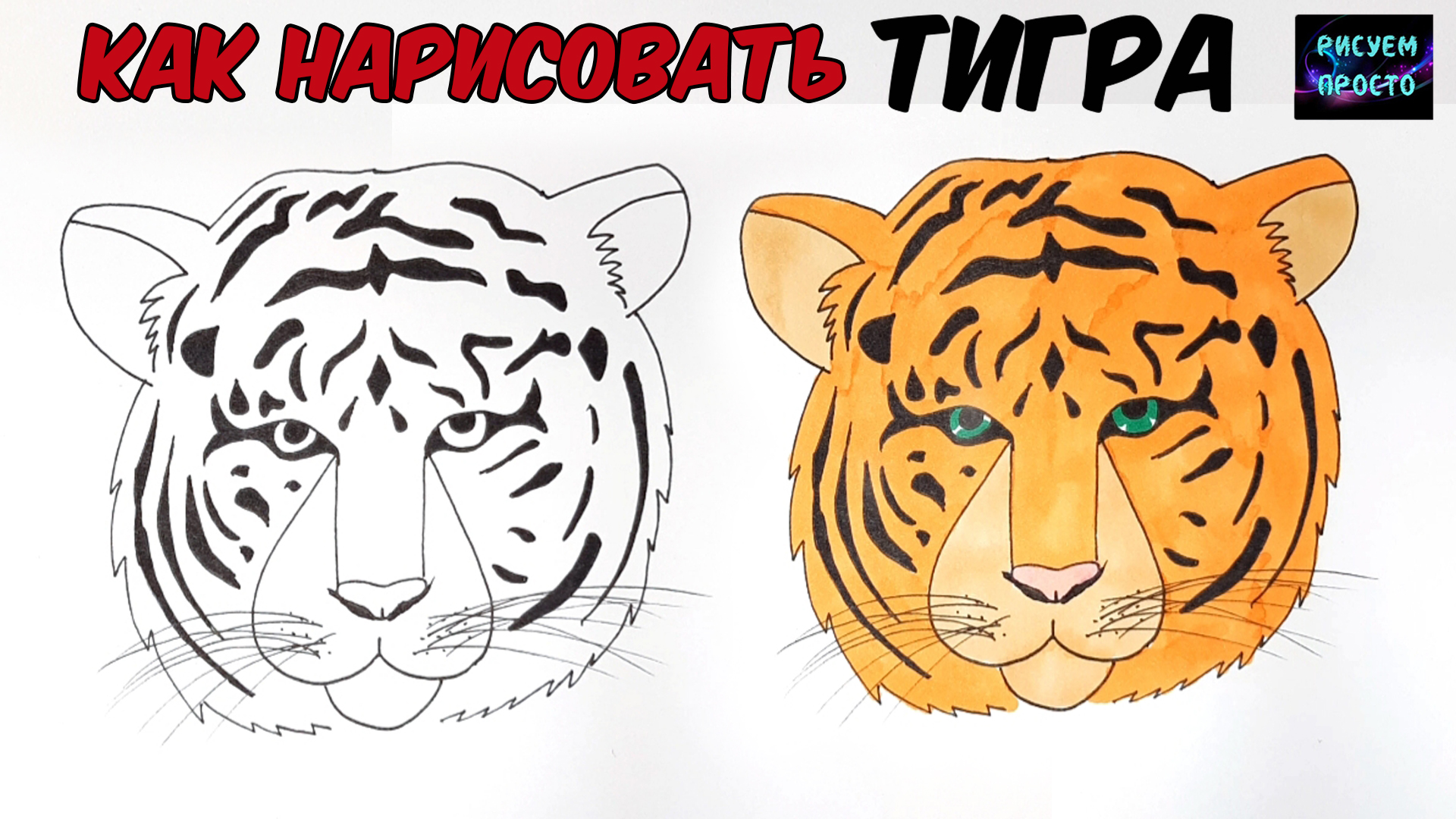 Рисунок тигра для детей поэтапно