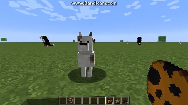 Обзор мода на породы собак 2 часть. Комментатор Варя от бога! смотреть онлайн