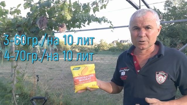Фосфорно- калийная подкоромка прививок винограда
