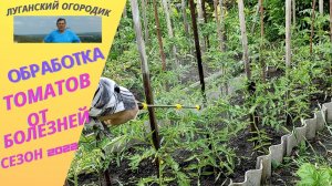 Обработка томатов от болезней после высадки в грунт.