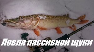 Ловля пассивной щуки поздней осенью (1)