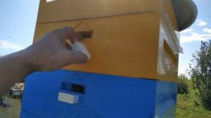 Улей ППУ. Мои впечатления.