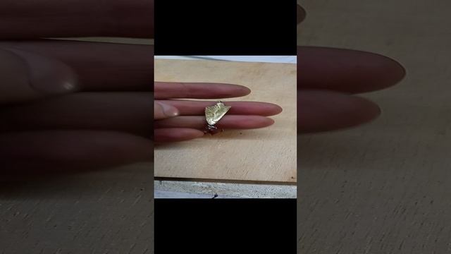 Зимняя блесна на окуня Маршмелка 30мм. вес 1.7 гр. https://vk.com/baitaan