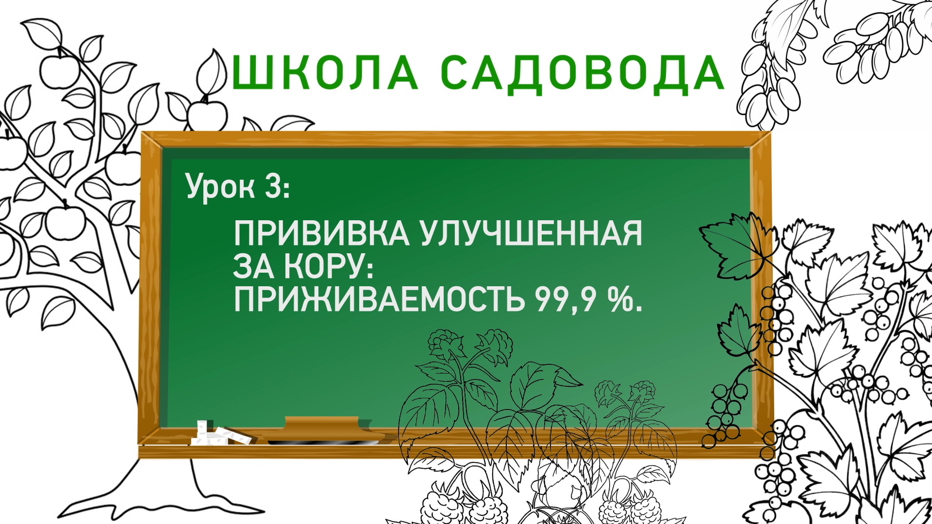 Прививка улучшенная за кору. Школа садовода. Урок 3