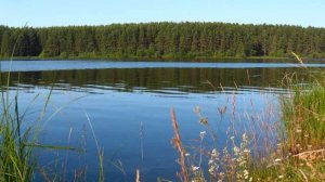 На БЕРЕГУ   ОЧЕНЬ   ТИХОЙ РЕКИ