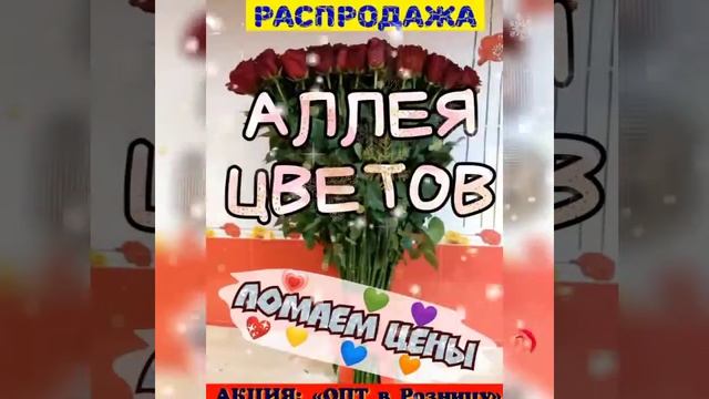 Заказ роз по оптовой акции + бесплатная доставка букетов круглосуточно смотреть онлайн