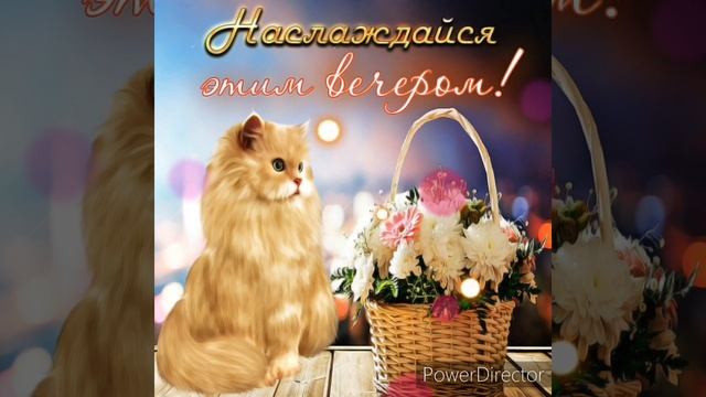 Доброго и уютного вечера!!! relax ? ?