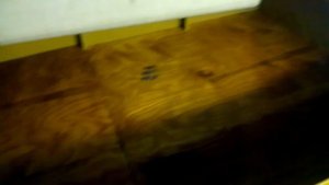 Ветровое стекло на лодку