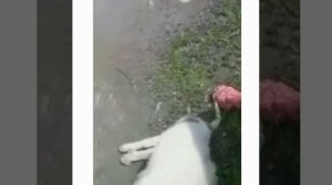 Сабир. Так началась его история в нашей группе.