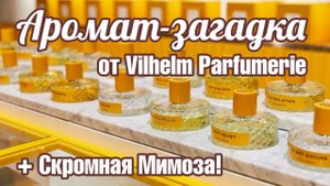 125th & BLOOM и MODEST MIMOSA от VILHELM PARFUMERIE // ОБЗОР АРОМАТОВ // Fragrance Review
