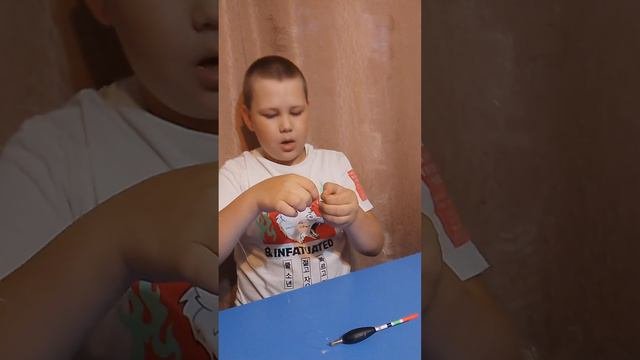 поплавочная снасть