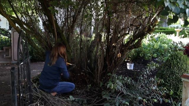 Garden Answer Weekly Recap #1 (September 15th - 21st) смотреть онлайн