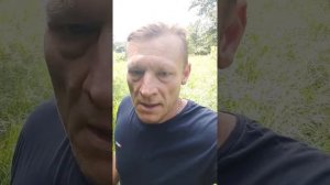 Чуфа (тигровый орех).  Аналитика сезона.