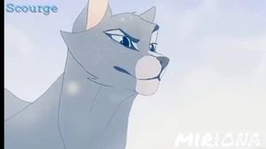 коты воители клип°Ути путишка° Синяя звезда,Дроздовик,Жёлудь.