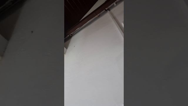 #Soma Palmshore Resort Trivendrum смотреть онлайн