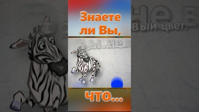 Знаете ли Вы, Что? Зебра