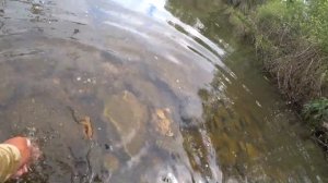 Серебряный Ручей,  TAIFUN  2020 732 5-30gr. ЩУЧКИ!!!