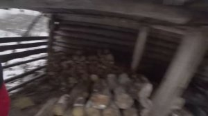 Охота на лося с лайкой.Нашёл останки лося.