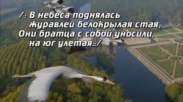 Журавли смотреть онлайн