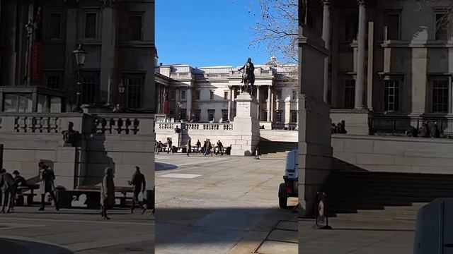 Trafalgar Square,London and a pigeon on the statue ?