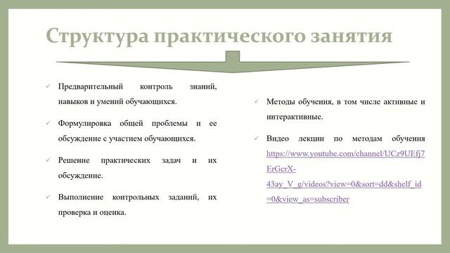 Видео лекция Организация практических занятий