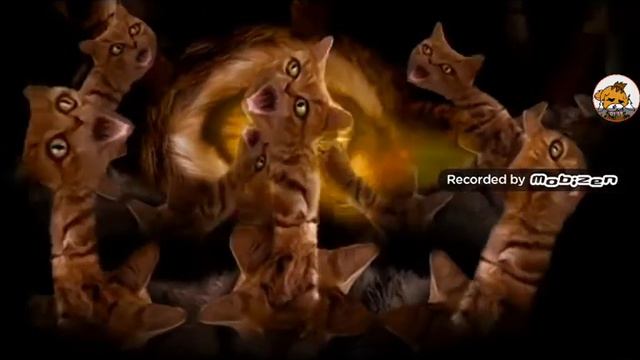 Реакция на Meowpurrdy что происходит с #котиками??? смотреть онлайн